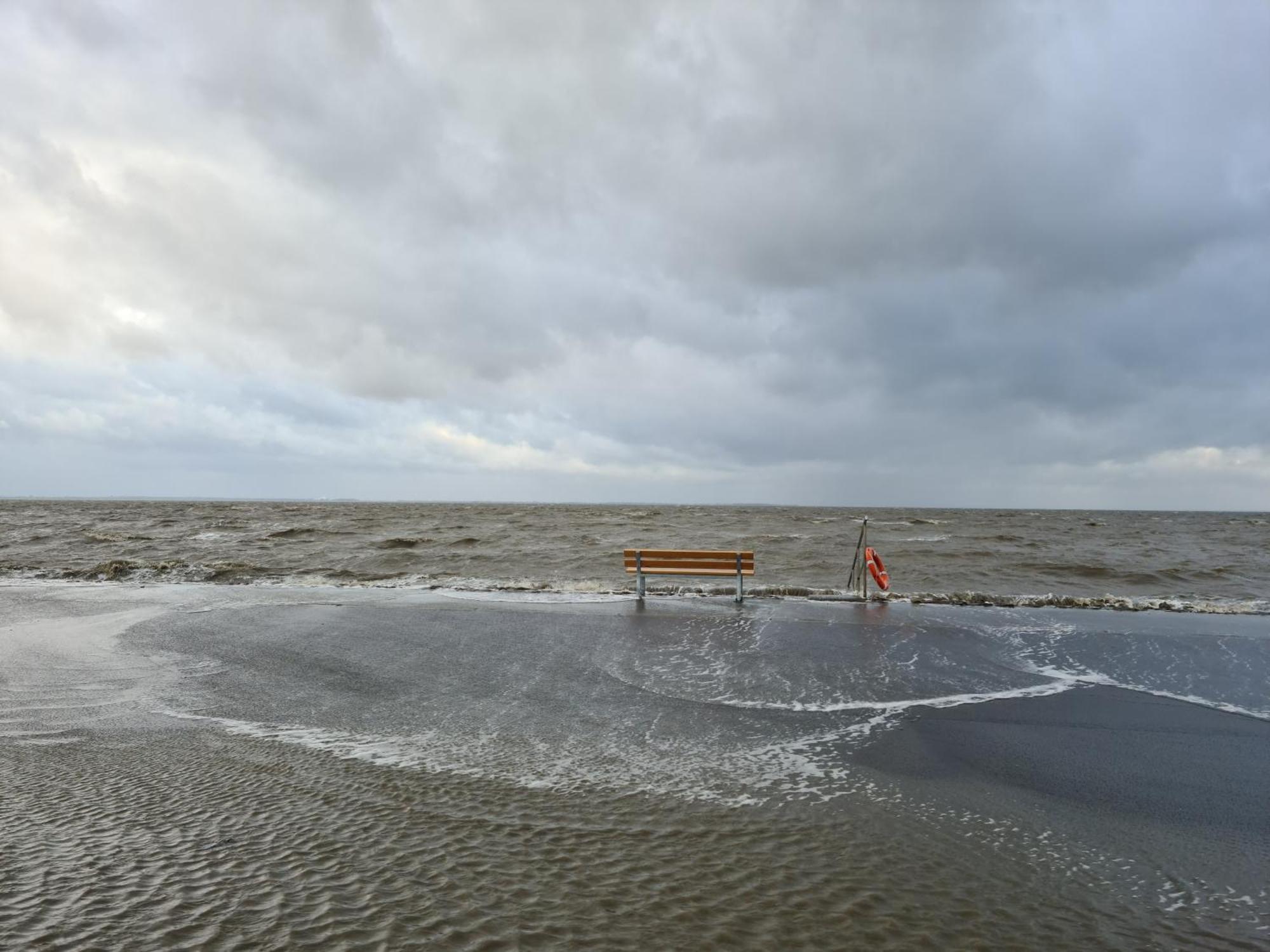 Haus Pudelwohl - Hundefreundliches Ferienhaus An Der Nordseekueste Sehestedt  Extérieur photo